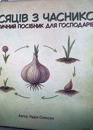 Календарь 12 месяцев с чесноком
