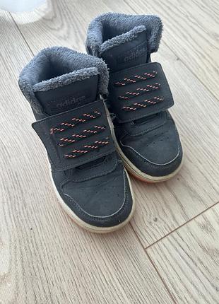 Хайтопи adidas кросівки