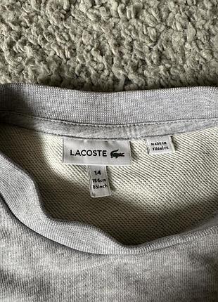 Світшот lacoste 3