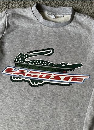 Світшот lacoste 2