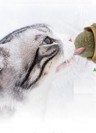 Кошачья мята игрушка для котов вкусняшка catnip