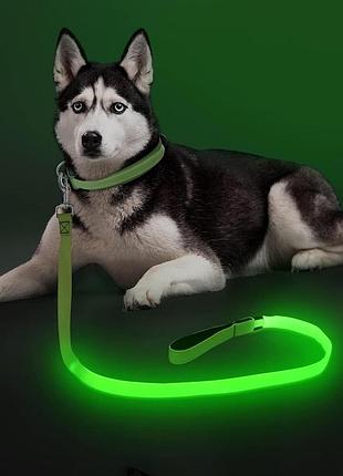 Светодиодный поводок для собак 120см colaseeme led-поводок для собак