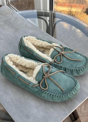 Жіночі ugg dakota slipper оригінал 35 розмір (бірка 36 розмір )
