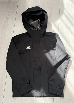 Вітровка куртка adidas entrada