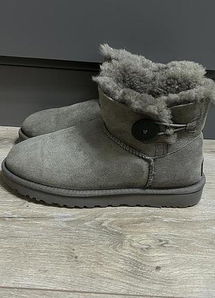 Уггі жіночі ugg