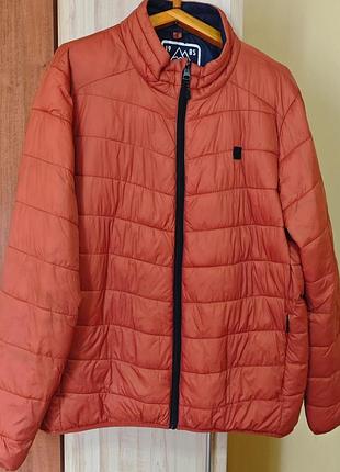 Куртка демісезонна