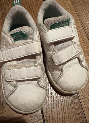 Кросівки adidas шкіра