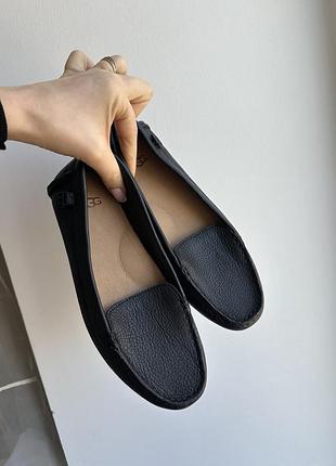Нові шкіряні жіночі лофери балетки брендові ugg