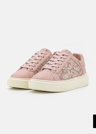 Guess кеди оригінал