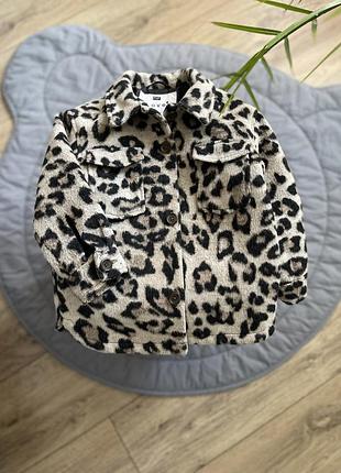 Куртка сорочка тепла леопардова