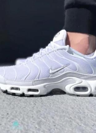 Nike tn plus