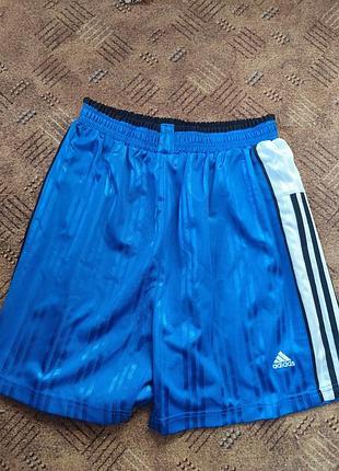 Спортивные шорты adidas