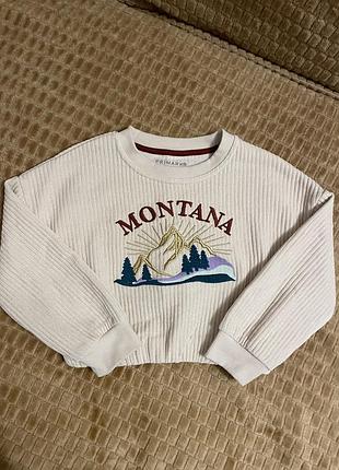 Світшот бренду primark із вишивкою «montana»