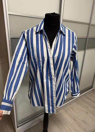 Сорочка massimo dutti