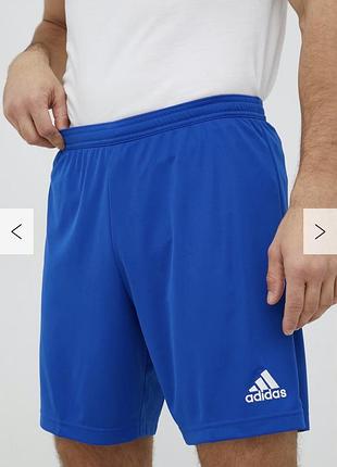 Тренувальні шорти adidas чоловічі шорти performance entrada 22 хл сині шорти