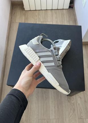 Кросівки adidas