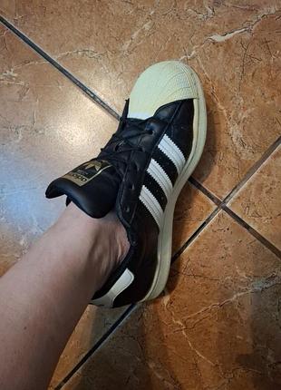 Красотки adidas  superstar 10