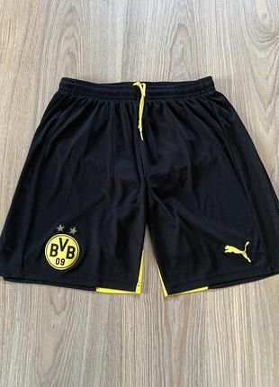 Мужские спортивные футбольные шорты puma borussia dortmund