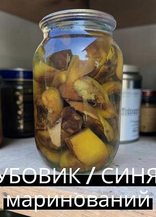 Маринованные поддубовики (дубовики, синяки, яловые) — деликатес из закарпатских лесов