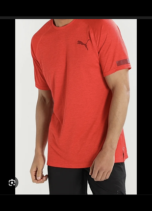 Puma dry cell футболка спортивная l
