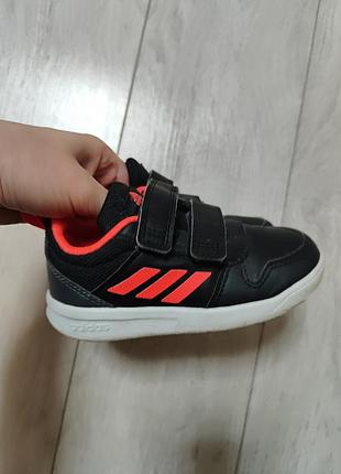 Кроссовки adidas 24