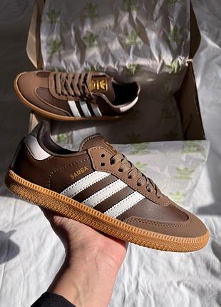 Стильні жіночі кросівки adidas samba og brown коричневі