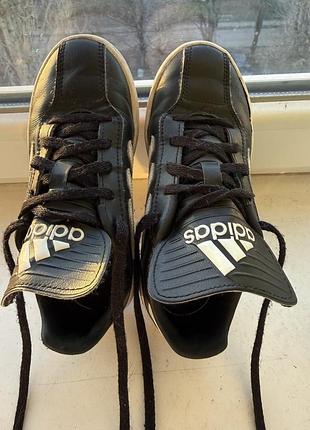 Кросівки adidas
