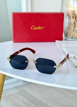 Солнцезащитные очки carter