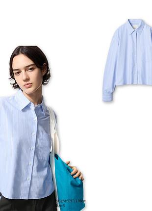 Сорочка uniqlo