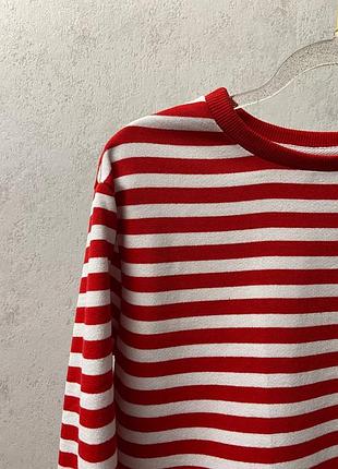 Полосатий лонг 2