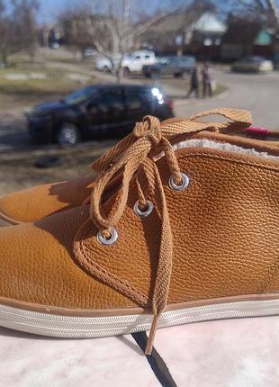 Шкіряні  кеди, кросівки на утеплювачі keds