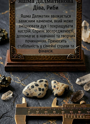Яшма далматинова для діва, риби
