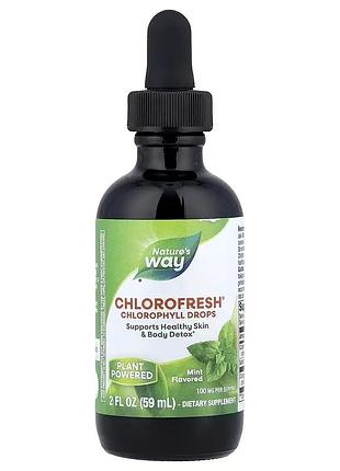 Хлорофіл у краплях nature's way chlorofresh з ароматом м'яти 59 мл