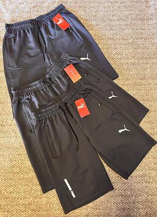 Чоловічі шорти puma.