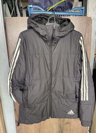 Мужская демисезонная куртка adidas essentials insulated hooded jacket