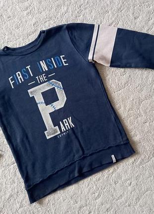 Реглан-світшот