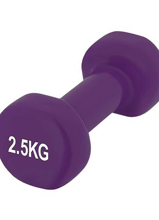 Гантель вінілова powerplay 4125 achilles 2.5 кг. фіолетова (1шт.)