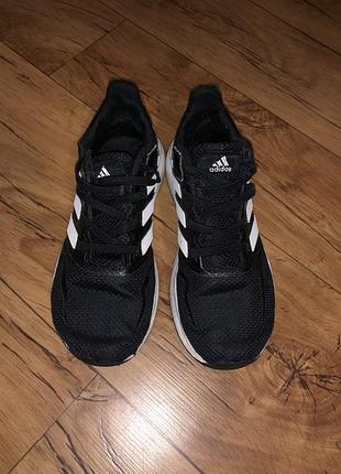 Кросівки adidas