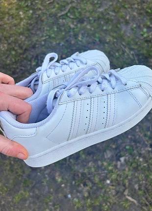 Кросівки adidas superstar оригінал