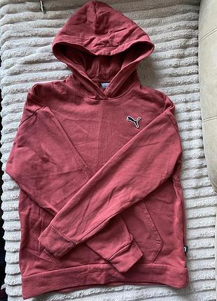 Худі  puma