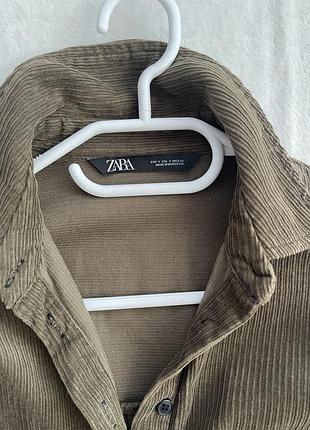Плаття сорочка zara 2