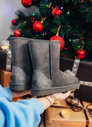 Ugg w classic short угги замшевые