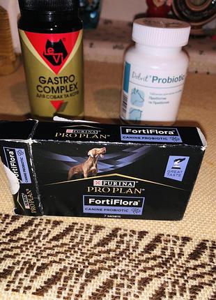 Purina pro plan fortiflora canine probiotic, препарат levi гастро комплекс, dolvit probiotic для собак та котів