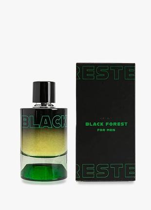 Новые фирменные духи туалетная вода для мужчин black forest «черный лес» koton 100 мл оригинал