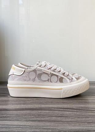 Кеди coach в наявності