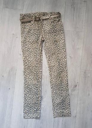 Леопардові джинси next