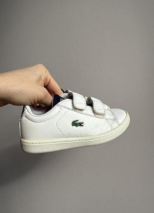 Кеди,кросівки lacoste