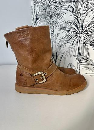 Черевики чоботи timberland