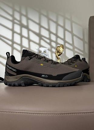 Salomon shelter gtx brown black