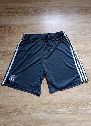 Шорты мужские adidas